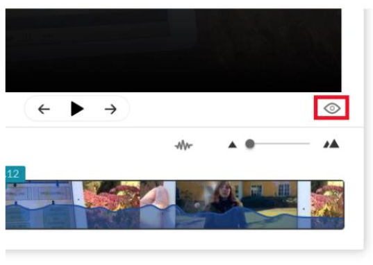 Kaltura Quiz's eye-like preview button.