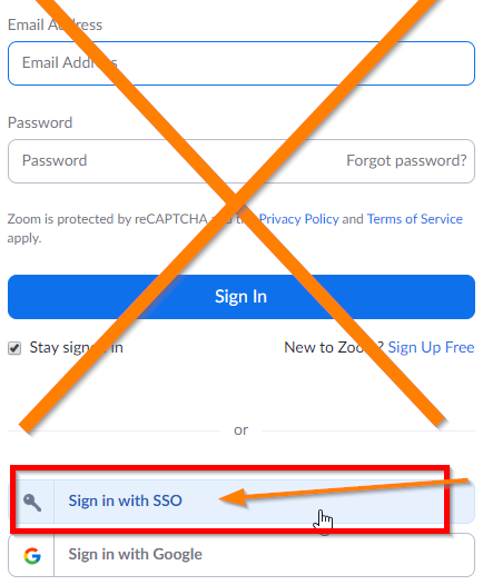 zoom sign in
