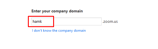 Company domain text field filled with the word hamk. 