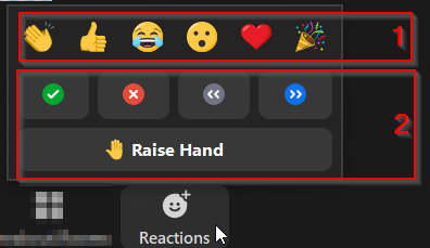 Zoom reactions