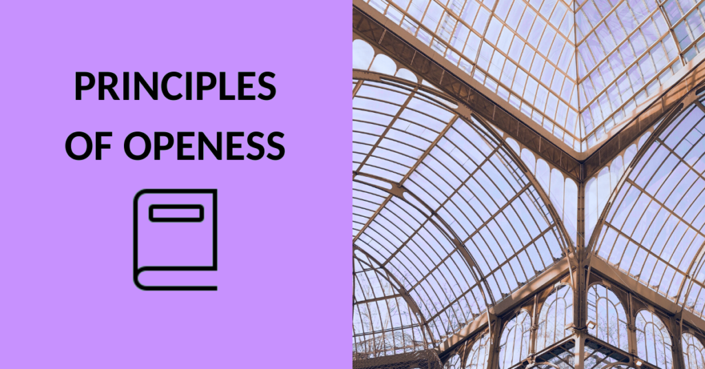 banner image openess