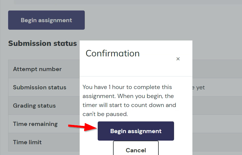 The student confirms the start of the assignment.