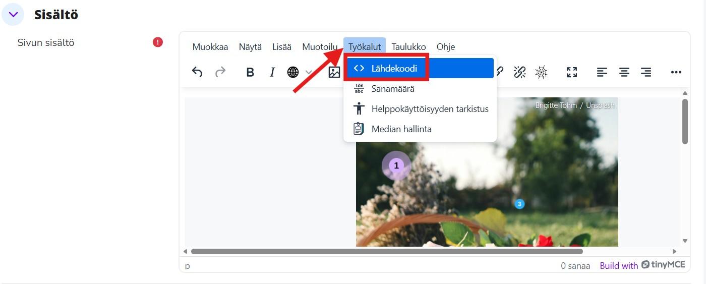 TinyMCE-tekstieditorin Työkalut-välilehti ja alasvetovalikon "Lähdekoodi".